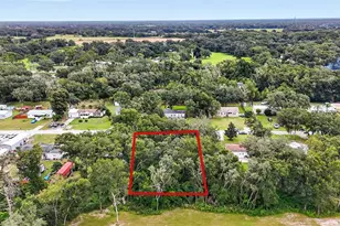 7305 Timber Crest Ln, Zephyrhills, FL 33540 - Photo 51