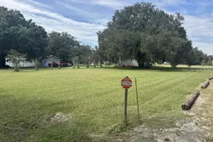 9581 McIntosh Rd, Dover, FL 33527 - Photo 11