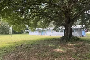 9581 McIntosh Rd, Dover, FL 33527 - Photo 5