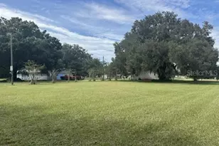 9581 McIntosh Rd, Dover, FL 33527 - Photo 13