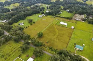 9124 Carey Rd, Lithia, FL 33547 - Photo 53