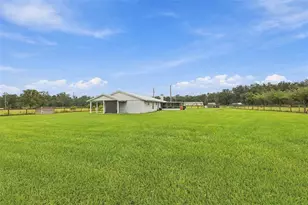 9124 Carey Rd, Lithia, FL 33547 - Photo 47