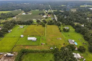 9124 Carey Rd, Lithia, FL 33547 - Photo 59