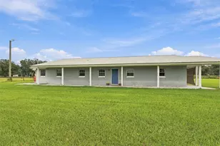 9124 Carey Rd, Lithia, FL 33547 - Photo 3