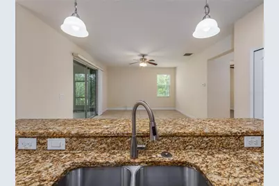 20162 Oakflower Avenue, Tampa, FL 33647 - Photo 11