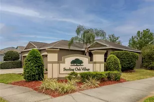 20162 Oakflower Ave, Tampa, FL 33647 - Photo 31