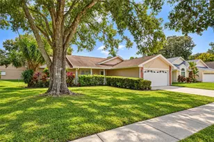 3066 Esplanade Dr, New Port Richey, FL 34655 - Photo 3