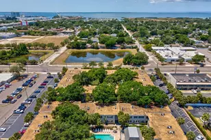 4335 Aegean Dr, Tampa, FL 33611 - Photo 39
