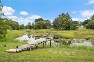 8328 Dunnellon Rd, Weeki Wachee, FL 34613 - Photo 59
