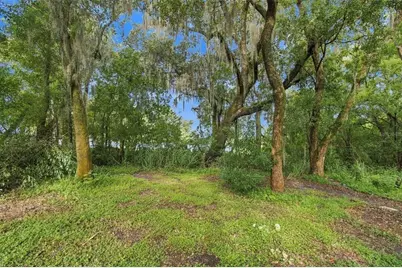 30251 Sunset Lane, Wesley Chapel, FL 33545 - Photo 5