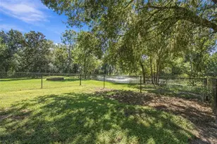 13887 Gavin Rd, Dover, FL 33527 - Photo 83