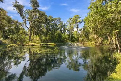 13887 Gavin Road, Dover, FL 33527 - Photo 87