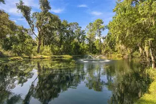 13887 Gavin Rd, Dover, FL 33527 - Photo 87