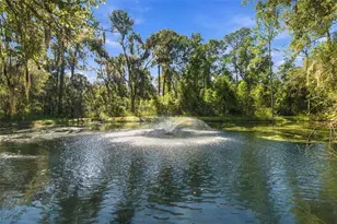 13887 Gavin Rd, Dover, FL 33527 - Photo 25