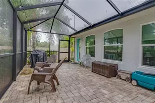 366 Rainforest Ct, Oldsmar, FL 34677 - Photo 55