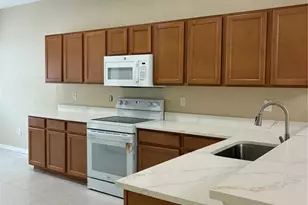 31142 Flannery Ct, Wesley Chapel, FL 33543 - Photo 13