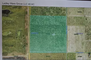 Lot 1 & 2 Ledly Wear Rd, Bartow, FL 33830 - Photo 1