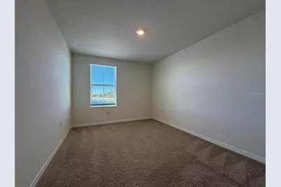 12072 Downy Birch Drive, Riverview, FL 33569 - Photo 17