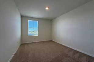 12072 Downy Birch Dr, Riverview, FL 33569 - Photo 17