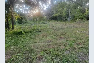 10145 Lorell Street, New Port Richey, FL 34654 - Photo 3