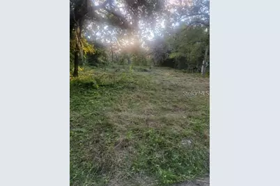 10145 Lorell Street, New Port Richey, FL 34654 - Photo 5