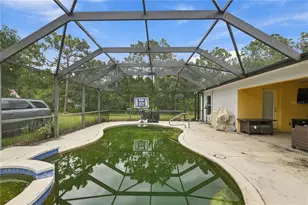 7405 Miracle Ln, Odessa, FL 33556 - Photo 35