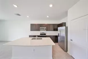 3531 White Dandelion Ct, Plant City, FL 33565 - Photo 11