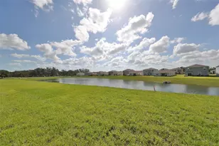 3531 White Dandelion Ct, Plant City, FL 33565 - Photo 35