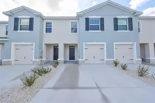 3531 White Dandelion Ct, Plant City, FL 33565 - Photo 1