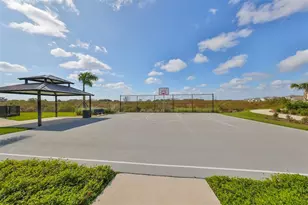 3531 White Dandelion Ct, Plant City, FL 33565 - Photo 43