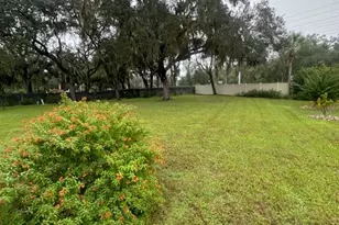 438 Tarrson Blvd, Lady Lake, FL 32159 - Photo 11