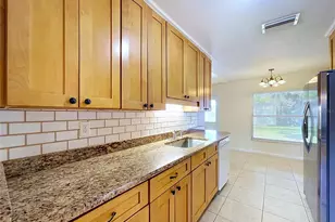 903 Tangelo Pl, Brandon, FL 33510 - Photo 29