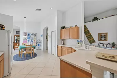10915 Australian Pine Drive, Riverview, FL 33579 - Photo 7