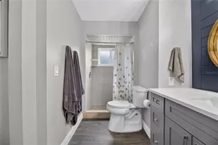 6510 Solitaire Palm Way, Apollo Beach, FL 33572 - Photo 41