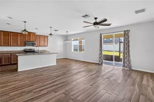10919 Rainbow Pyrite Dr, Wimauma, FL 33598 - Photo 11