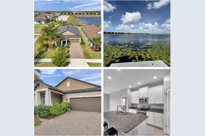 11412 Freshwater Ridge Drive, Riverview, FL 33569 - Photo 3