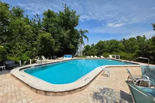2511 Dolly Bay Dr, Palm Harbor, FL 34684 - Photo 5