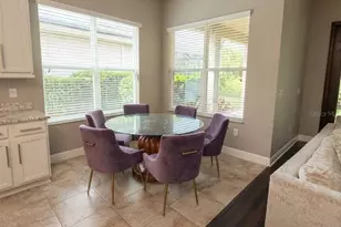 31261 Chesapeake Bay Dr, Wesley Chapel, FL 33543 - Photo 9