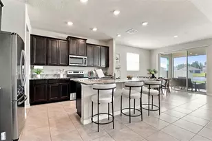 1510 Tropical Oasis Ave, Plant City, FL 33565 - Photo 9
