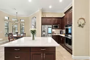 17314 San Aringo Pl, Lutz, FL 33548 - Photo 25