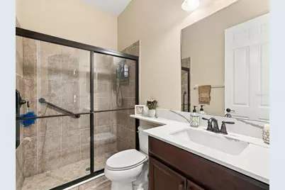 17314 San Aringo Place, Lutz, FL 33548 - Photo 67