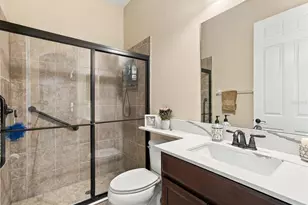 17314 San Aringo Pl, Lutz, FL 33548 - Photo 67