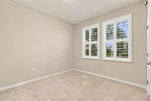32337 Conchshell Sail St, Wesley Chapel, FL 33545 - Photo 61