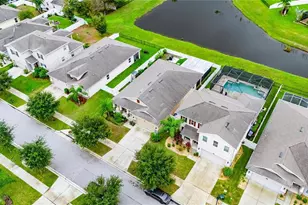 10619 Scenic Hollow Dr, Riverview, FL 33578 - Photo 59