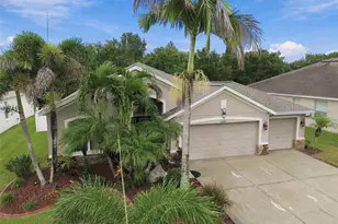 11009 Rockledge View Dr, Riverview, FL 33579 - Photo 61