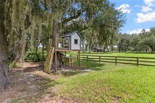 19601 Eagle Crest Dr, Lutz, FL 33549 - Photo 83