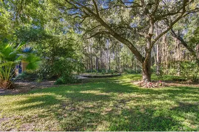 11525 Murcott Way, Land O Lakes, FL 34638 - Photo 59