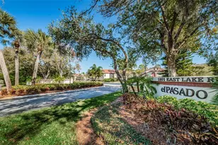 1801 E Lake Rd, Palm Harbor, FL 34685 - Photo 43