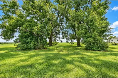 38740 Wilds Road, Dade City, FL 33525 - Photo 7