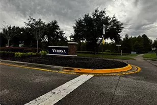 21286 Wistful Yearn Dr, Land O Lakes, FL 34637 - Photo 41